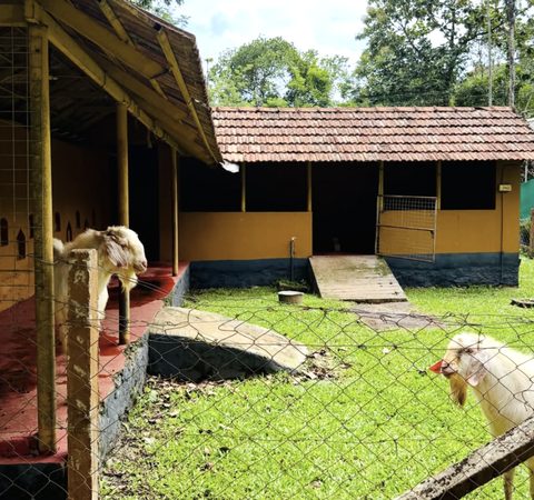 Premium Mountain View Resort Property for Sale - 10