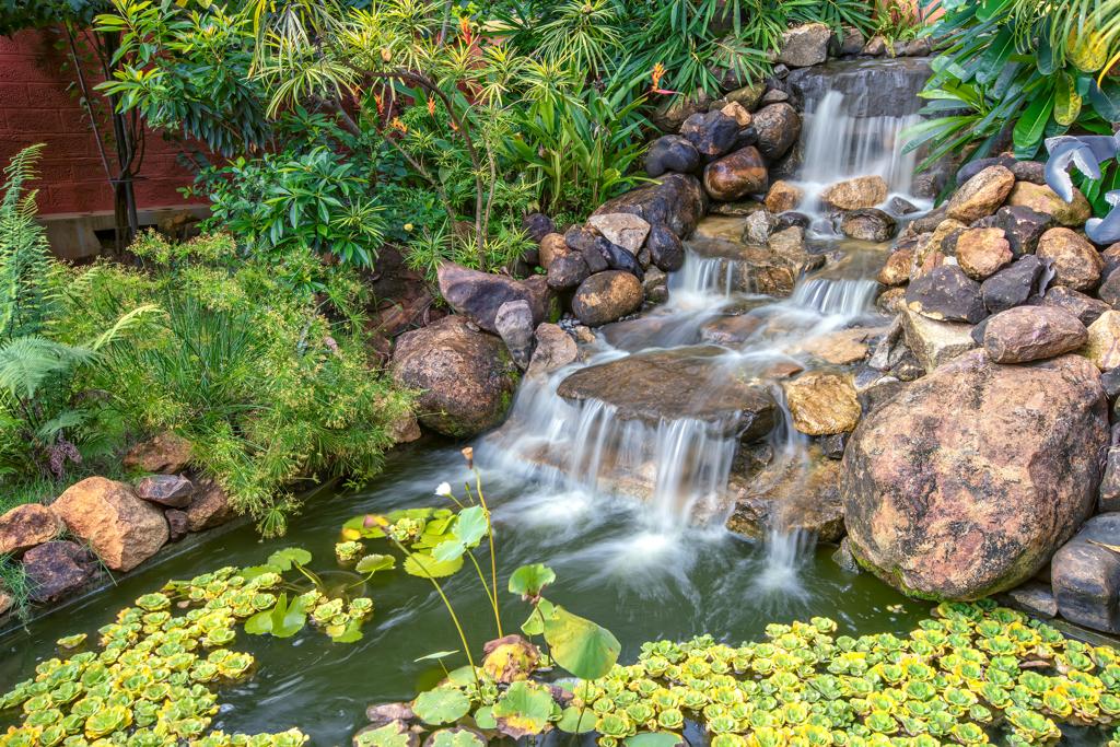 Sukrutham Farmstay – A Peaceful Kerala Village Experience in Thrissur - 9