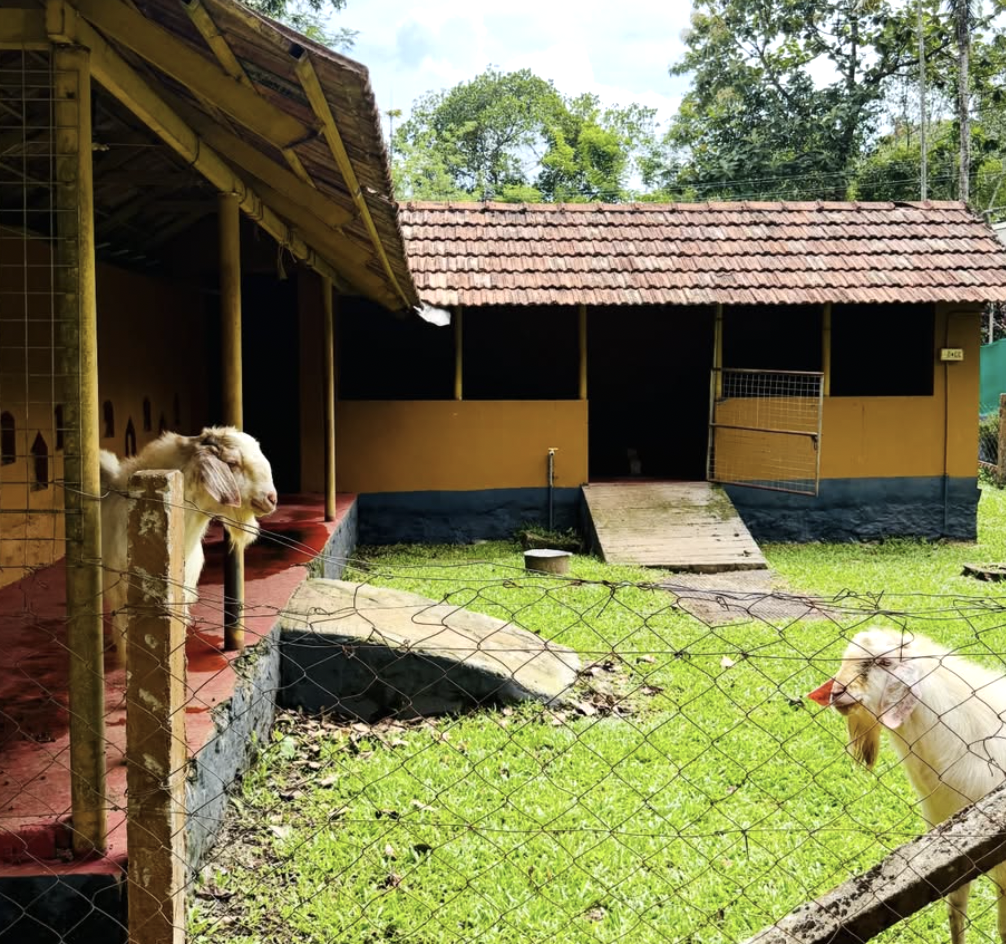 Premium Mountain View Resort Property for Sale - 10