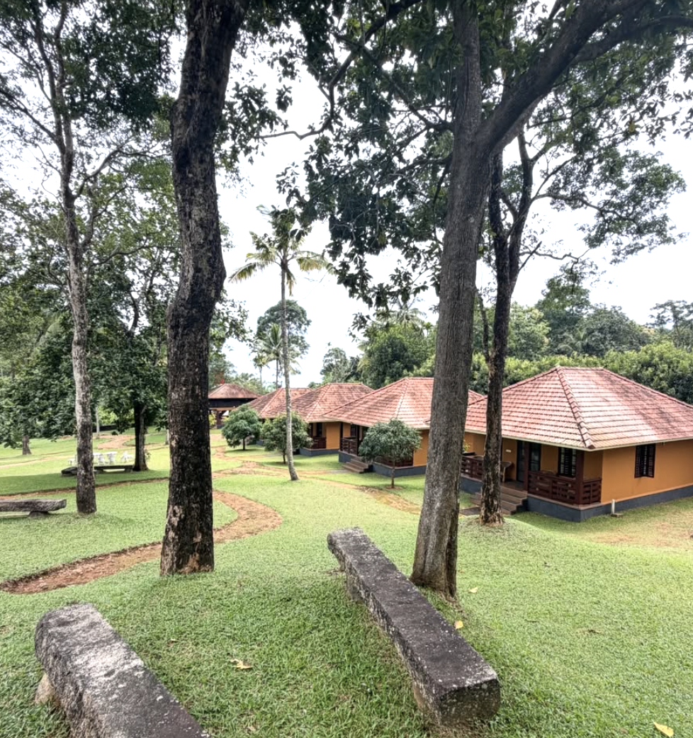 Premium Mountain View Resort Property for Sale - 3