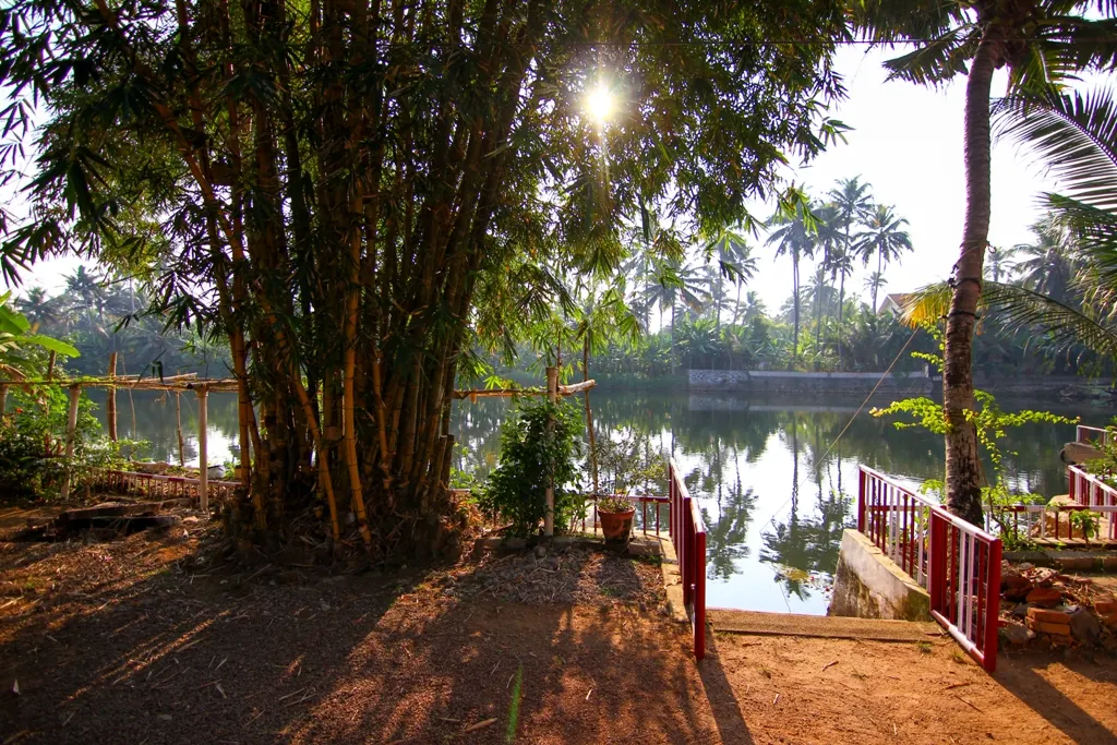Riverside Inn Muttar - 3 BHK Waterfront Homestay | Alappuzha - 6