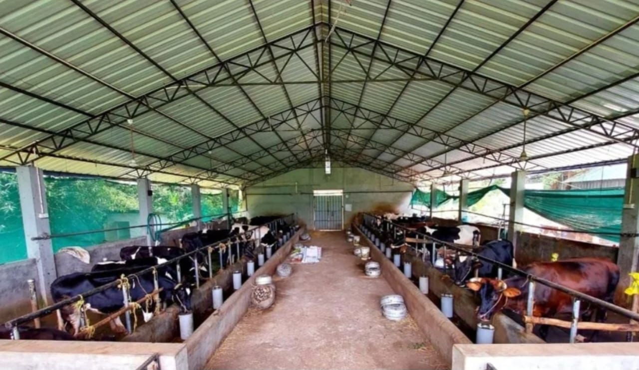 Dream Acres - Natural Pool and Waterfall Farm Homestay in Koodaranji, Kozhikode - 11