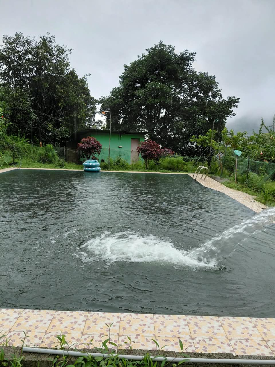 Dream Acres - Natural Pool and Waterfall Farm Homestay in Koodaranji, Kozhikode - 8