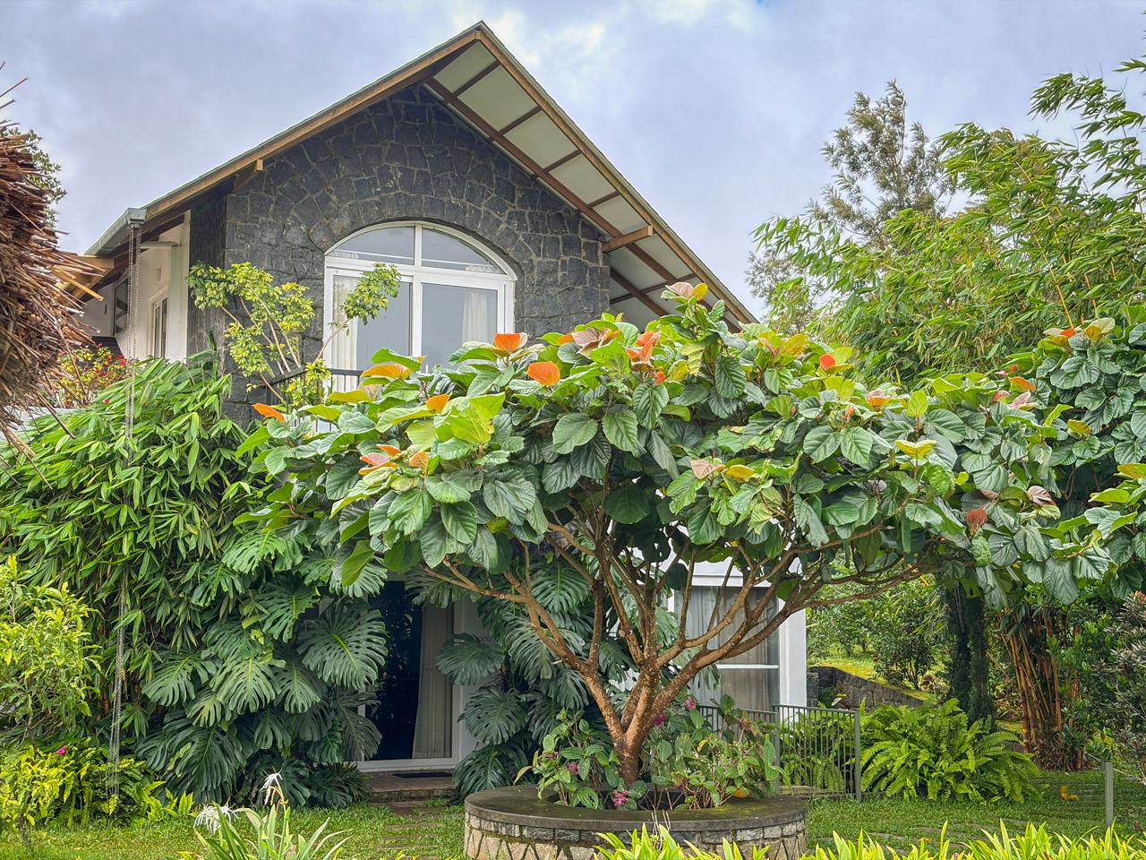 The Heyday Vagamon | Luxury Private Pool Villa Amidst the Hills for rent in Idukki - 3